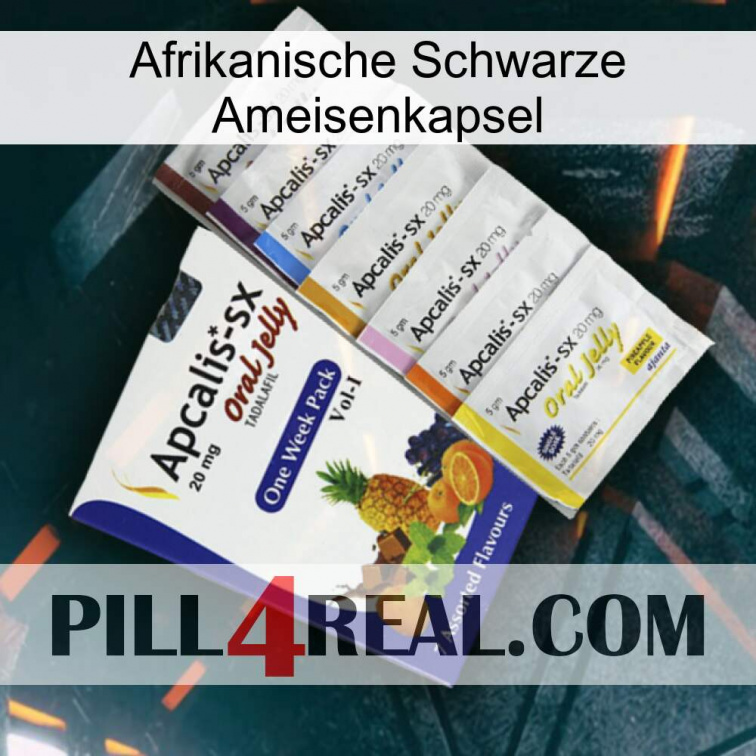 Africa Black Ant Capsule 11